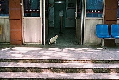 P社将新作添加到Steam数据库 或将在TGA期间公布